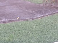 20131013 170433