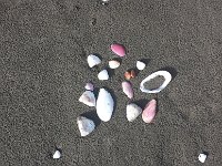 20131014 071311
