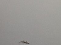 20131014 192536