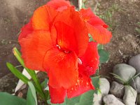 20131017 072631