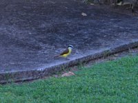 DSCN3078