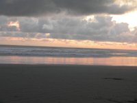 DSCN3100