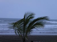 DSCN3103