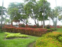DSCN3136