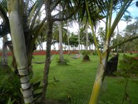 DSCN3137