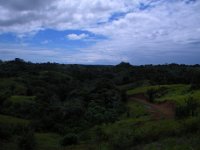 DSCN3154