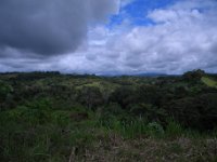 DSCN3155