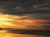 DSCN3204