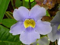 DSCN3232